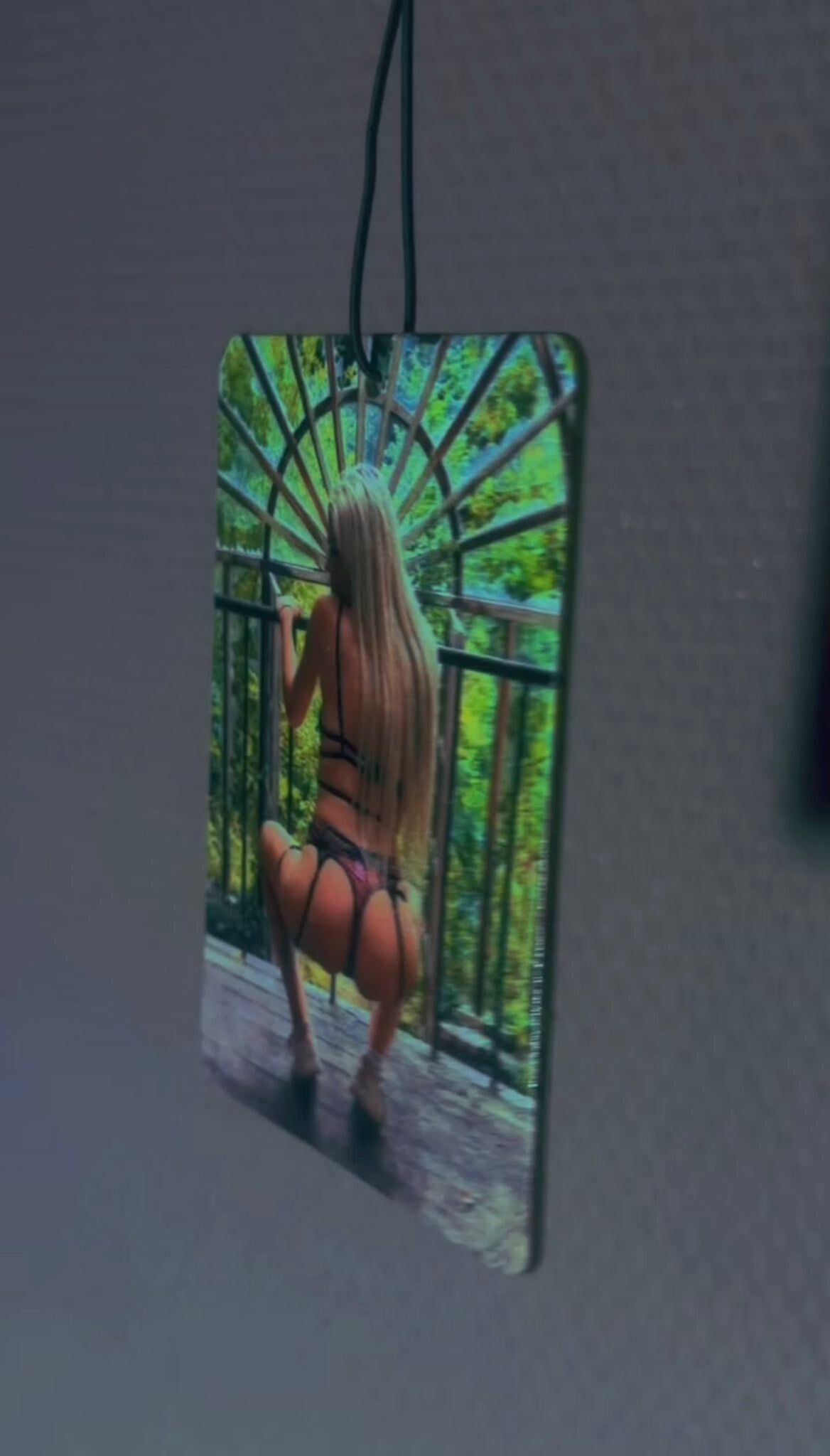 🚘 Dutchblondiebabe Autogeurhanger