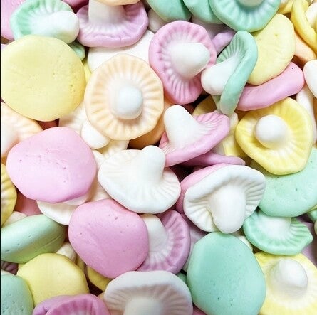 Champignon bonbon 110g