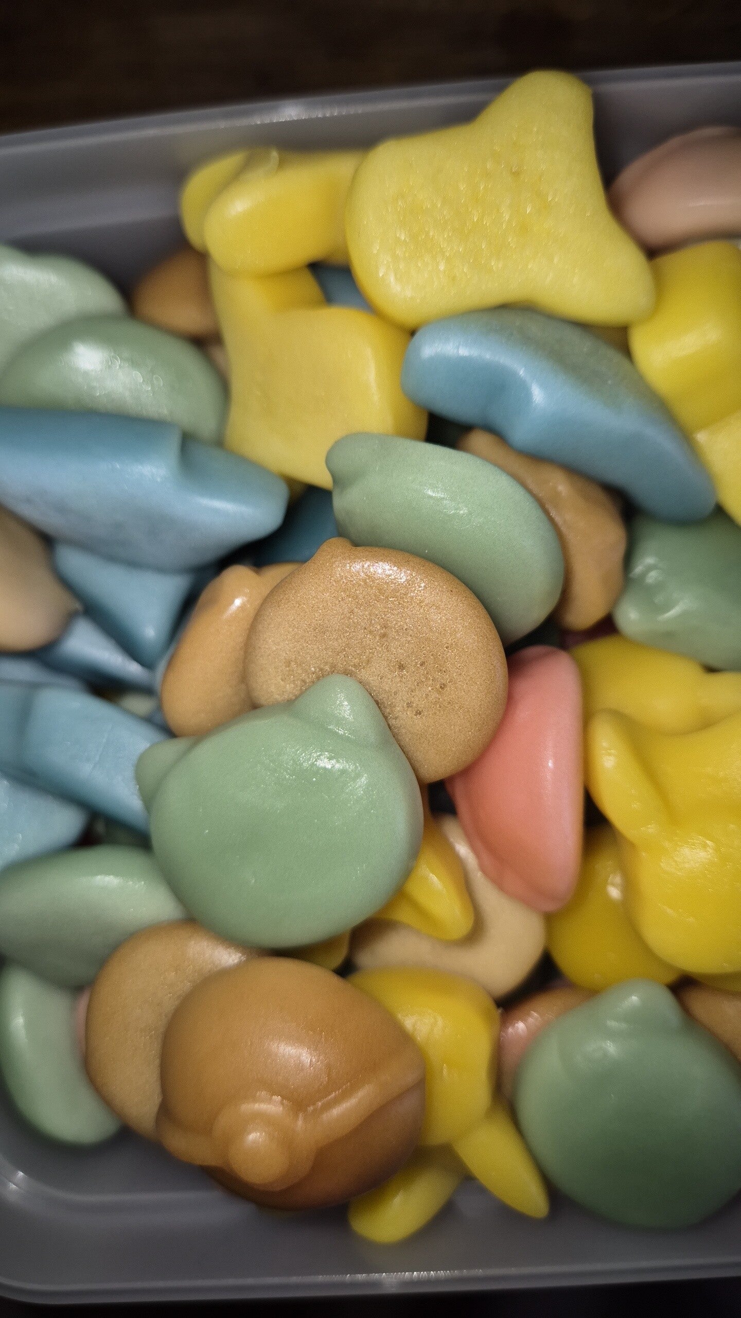 Bonbon Pokémon 100g