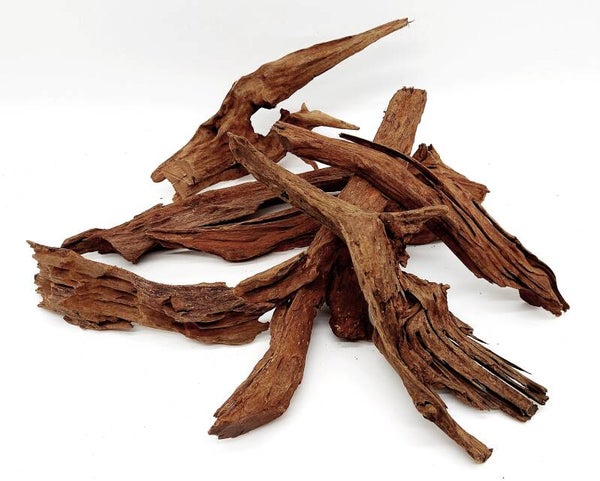 Mangroven Wurzel (MWL) M/L - mit Auswahl