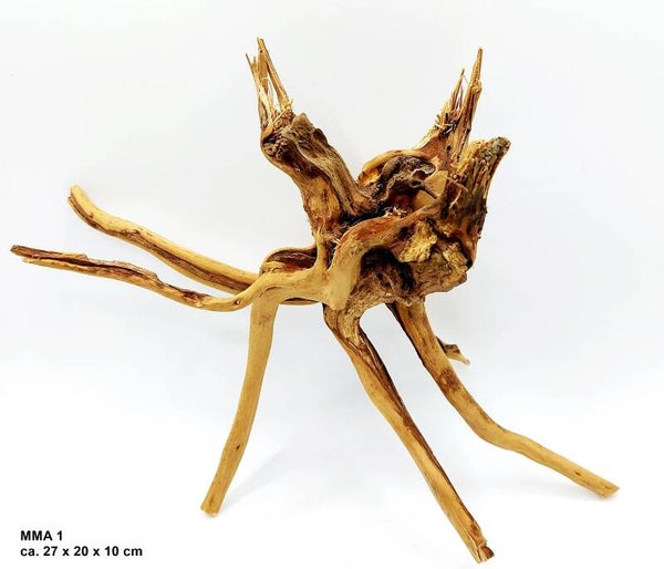 Moorwurzeln S/M mit Auswahl (MMA)