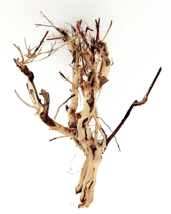 Etosha Tree (ETA 14), ca. 23 x 14 x 9 cm  (H/B/T)