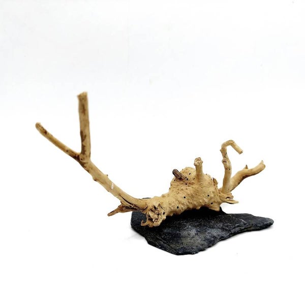 Wurzel auf Schiefer (WL 1), ca. 10 x 14 x 5 cm