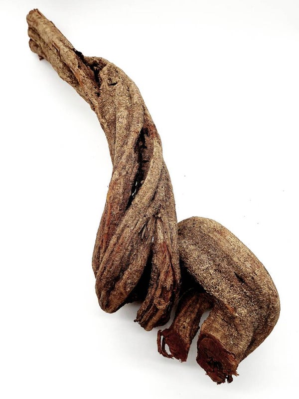 Cipo Rosca Liane (CRL 1), ca. 60 x 19 x 18 cm