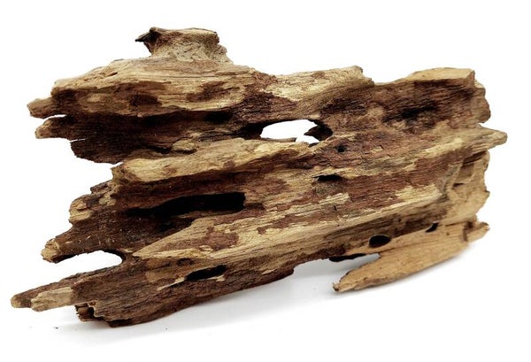 Drachenholz (NDH 1), ca. 19 x 10 x 5 cm