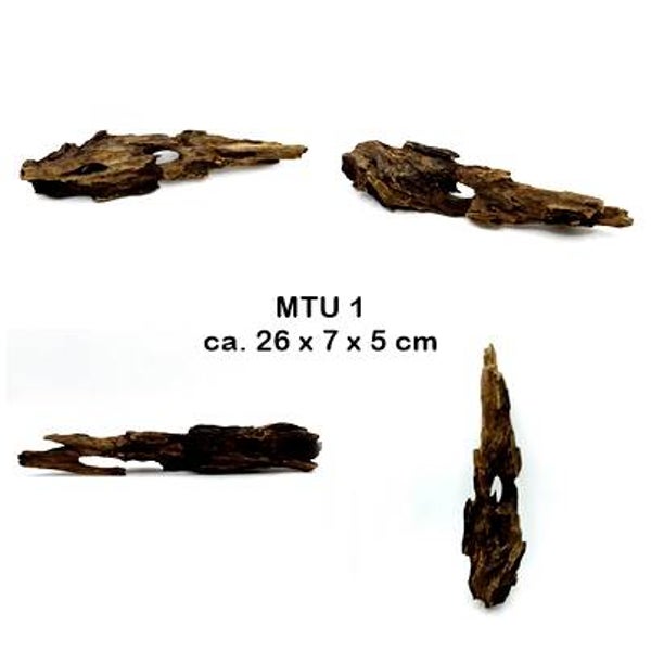 Drachenholz (MTU) - mit Auswahl
