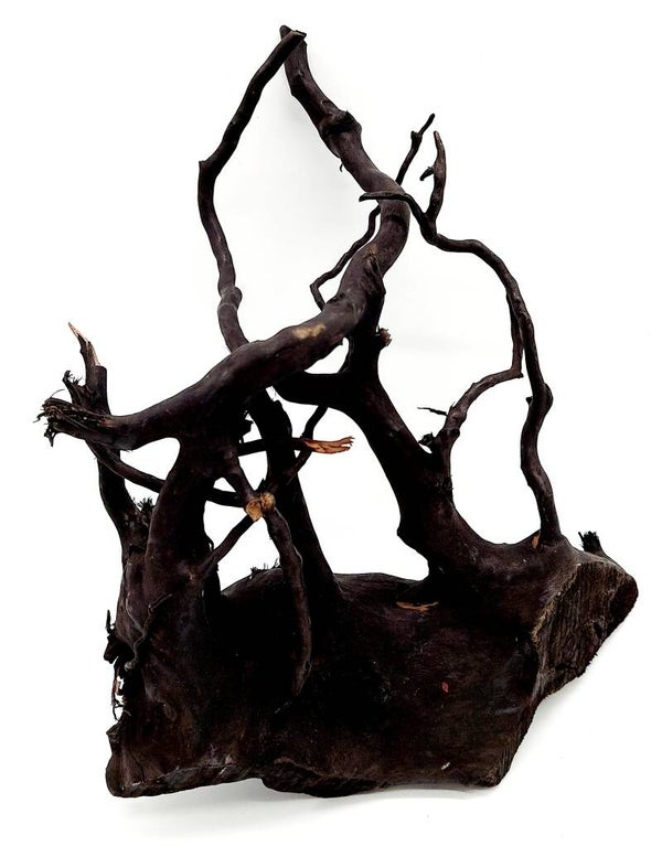 Spiderwood "Black" (BMR 10), ca. 22 x 17 x 10 cm