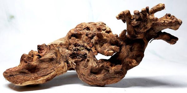 Scaping Wood (SV 10), ca. 19 x 11 x 9 cm