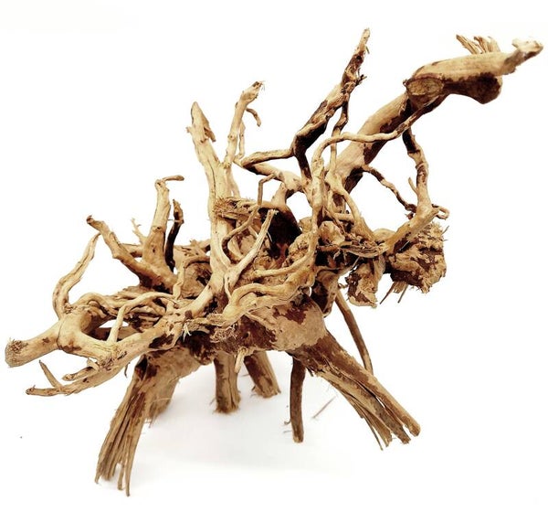 Moorwurzel (MOWU 10), ca. 41 x 26 x 23 cm