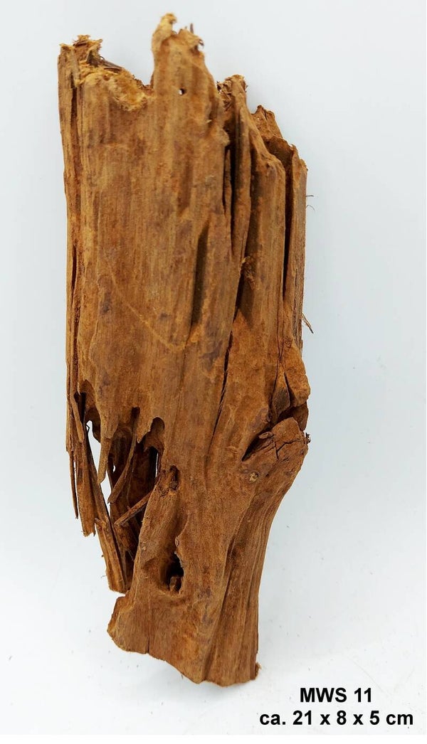 Mangrovenwurzel (MWS 11)