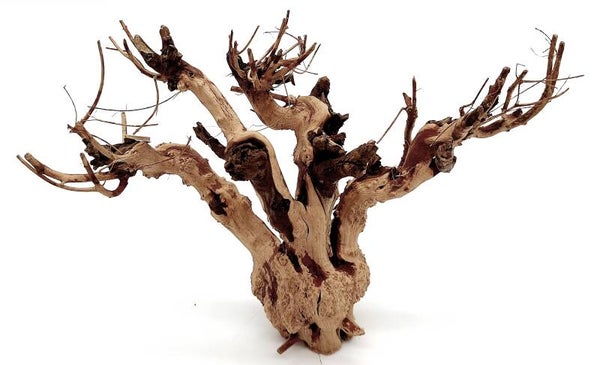 Etosha Tree (ATE 12), ca. 14 x 20 x 8 cm