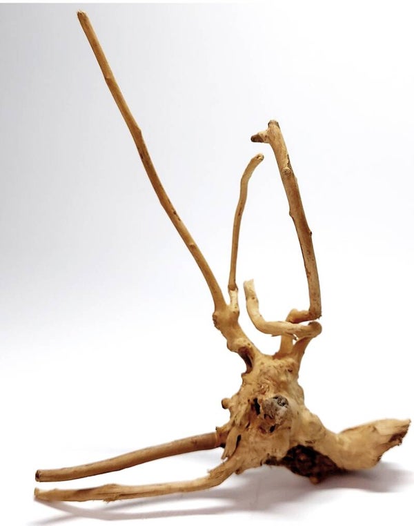 WE 12, ca. 17 x 12 x 4 cm