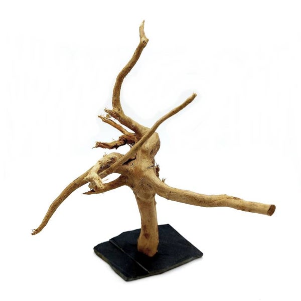 Wurzel auf Schiefer (WL 12), ca. 21 x 16 x 12 cm