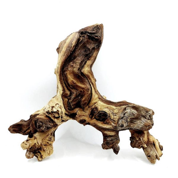 Mopani Wurzel (MVD 13), ca. 22 x 20 x 5 cm