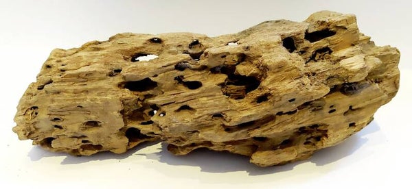 XL Drachenholz (HDG 14), ca. 39 x 15 x 12 cm
