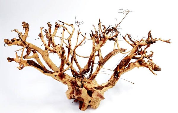 Etosha Tree (ET 15), ca. 20 x 37 x 15 cm (H/B/T)