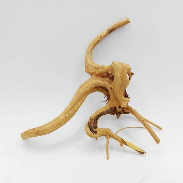 Moorwurzel (SDW 15), ca. 18 x 13 x 5 cm