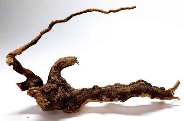 WE 16, ca. 15 x 9 x 5 cm