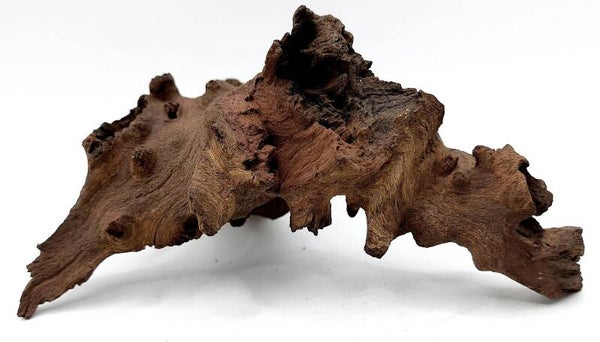 Mopani Wurzel (VM 16), ca. 14 x 9 x 7 cm