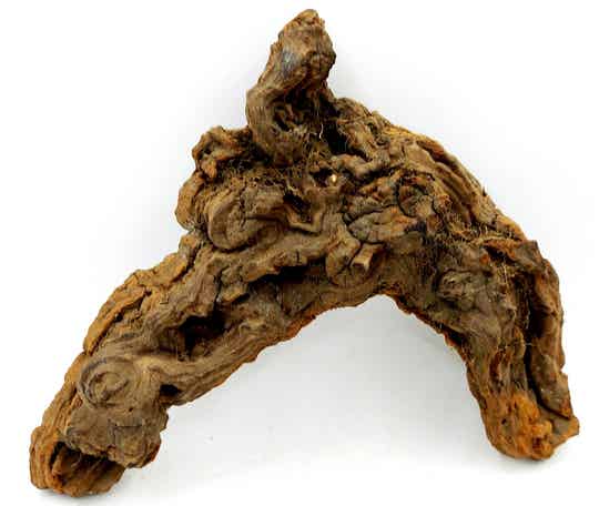 Savannenwurzel (NSR 4 ), ca. 18 x 16 x 5 cm