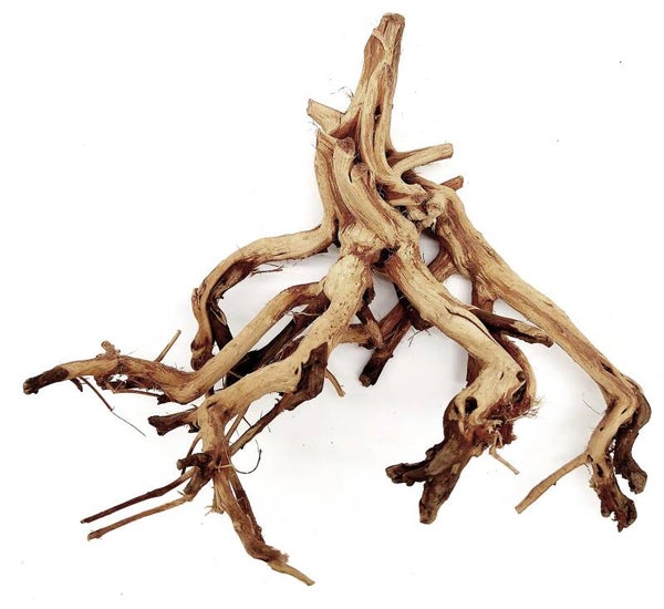 Etosha Tree (ATE 17), ca. 16 x 19 x 10 cm