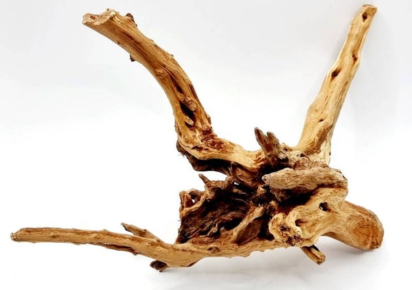 BL 17, ca. 27 x 21 x 11 cm