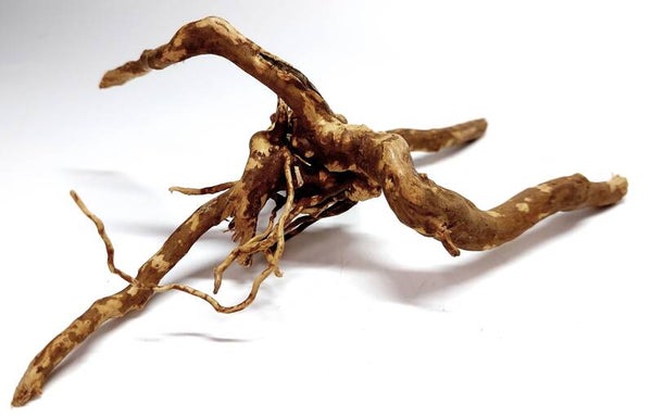 WE 18, ca. 20 x 12 x 7 cm