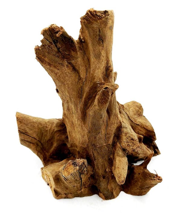 Corbo Root (NCR 18), ca. 18 x 16 x 14 cm
