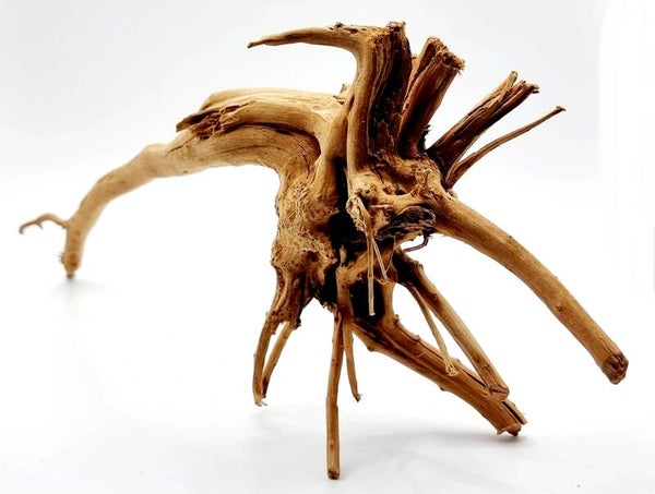 BL 19, ca. 30 x 16 x 10 cm