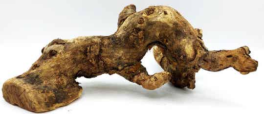 Kuwa Wurzel (KKW 21), ca. 23 x 15 x 10 cm
