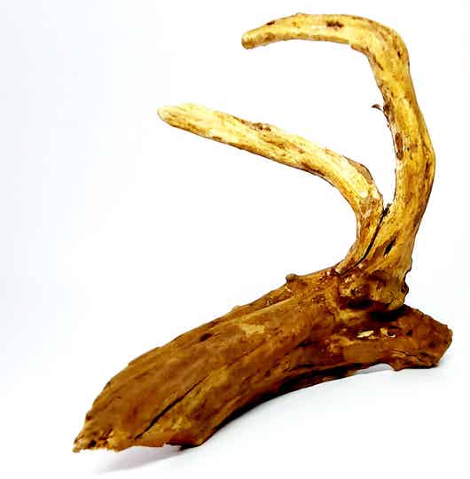 Scaping Wood (W 6), ca. 18 x 16 x 6 cm