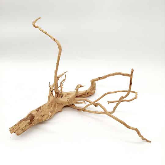 Moorwurzel (MOWU 2), ca. 42 x 26 x 25 cm