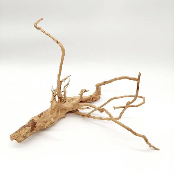 Moorwurzel (MOWU 2), ca. 42 x 26 x 25 cm