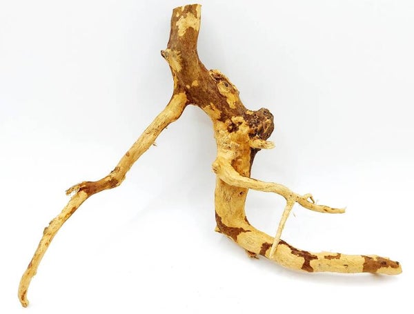 Moorwurzel (MWF 2), ca. 18 x 16 x 5 cm