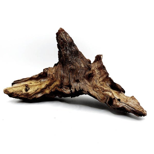 Mopani Wurzel (MVD 2), ca. 22 x 12 x 9 cm