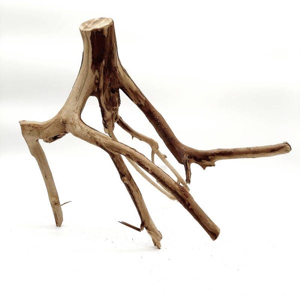 Talawa (TAL 5), ca. 38 x 37 x 28 cm