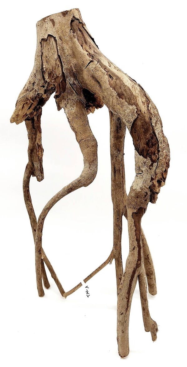 Talawa (TAL 1), ca. 46 x 23 x 16 cm