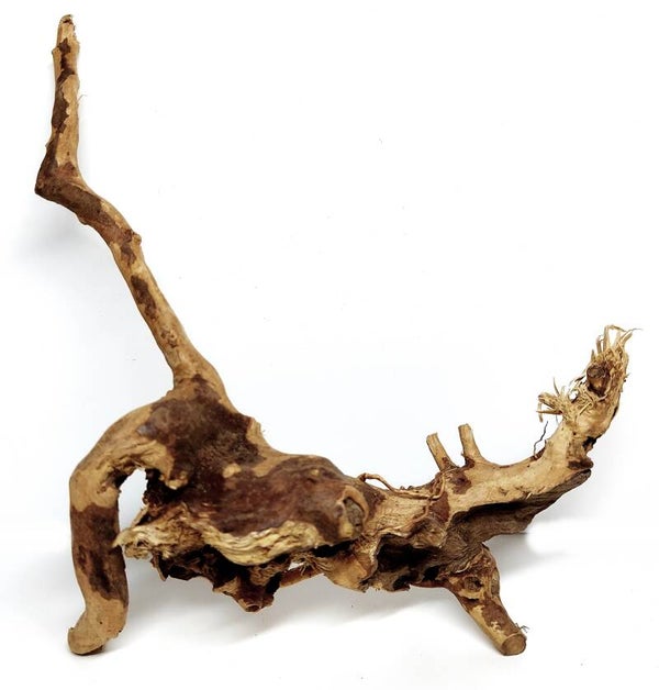 SMS 2, ca. 19 x 15 x 8 cm