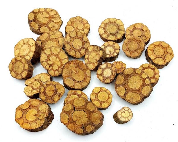 100 g Lianen Scheiben 2 - 5,5 cm