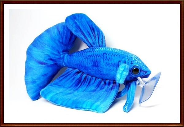 Kampffisch - Betta Plüschtier mit Saugnapf in 3 Farben