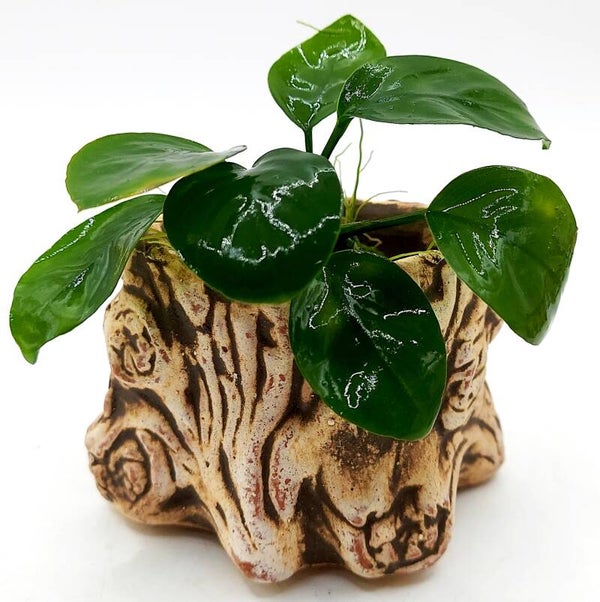 Pflanzbaumstumpf Retro