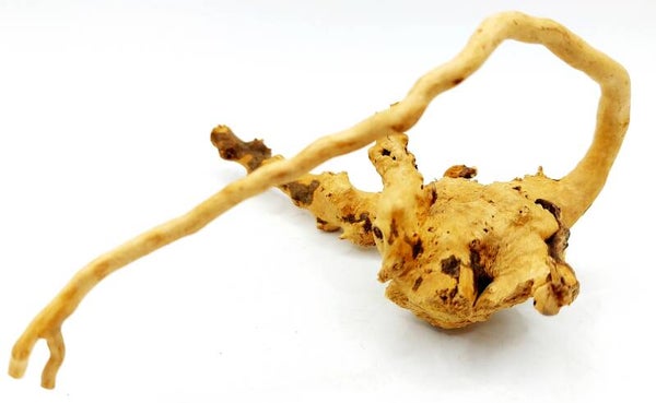 FW 18, ca. 14 x 12 x 8 cm