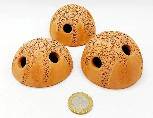 Garnelen Iglu mit 2 Löchern