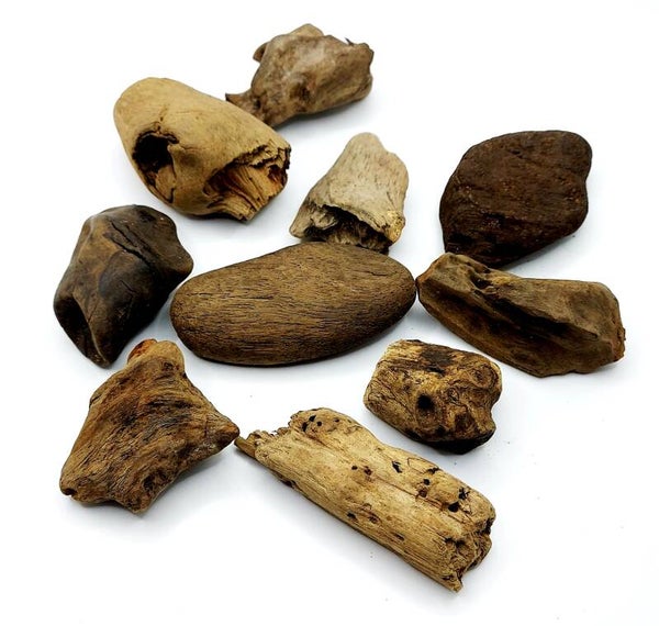 Treibholz - Aufbindeholz - 10-teiliges Set