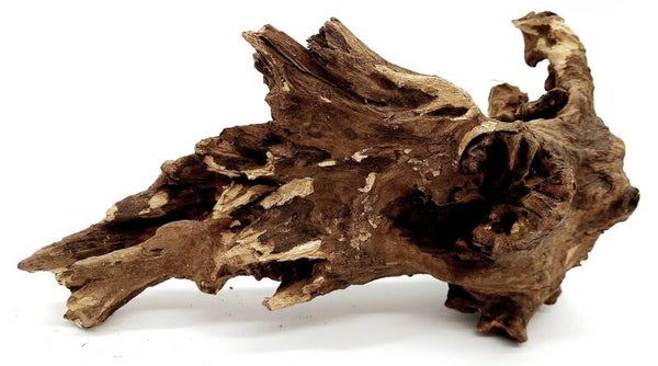 Barico Wurzel (ASB 4), ca. 26 x 15 x 11 cm