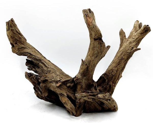 Corbo Root (LD 7), ca. 15 x 24 x 11 cm