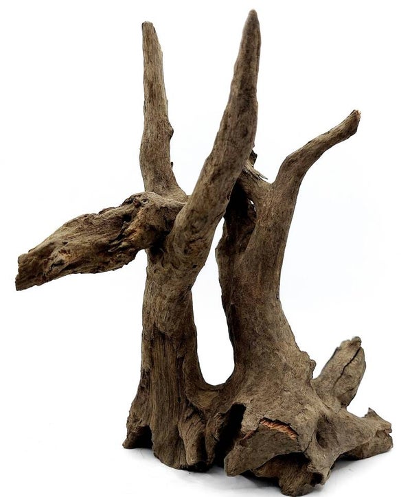 Corbo Root (LD 10), ca. 20 x 18 x 12 cm