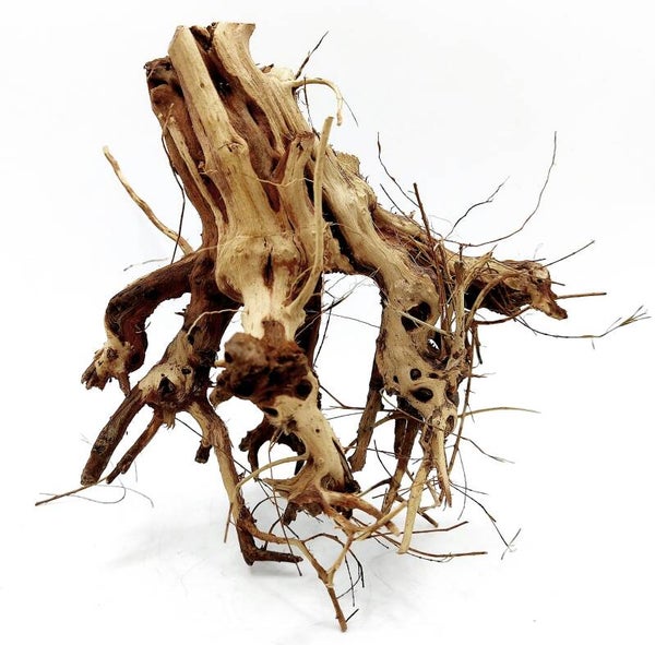 Etosha Tree (NET 2), ca. 16 x 16 x 11 cm