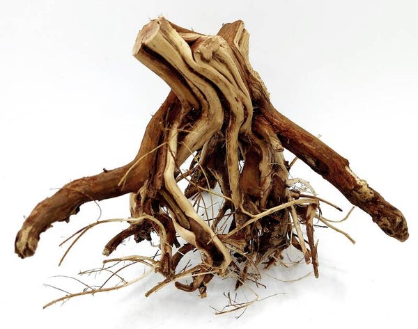 Etosha Tree (NET 4), ca. 16 x 18 x 16 cm