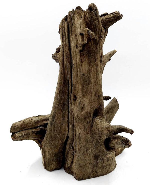 Corbo Root (LD 13), ca. 22 x 18 x 14 cm